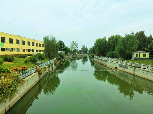 小众景点,成武县城的第一个公园 中山公园